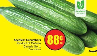 Chalo FreshCo Seedless cucumbers product of ontario canada no. 1 offer