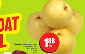 Chalo FreshCo Yellow or brown asian pears product of china fancy grade 4.14/kg offer