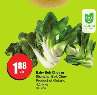Chalo FreshCo Baby bok choy or shanghai bok choy product of ontario 4.14/kg offer