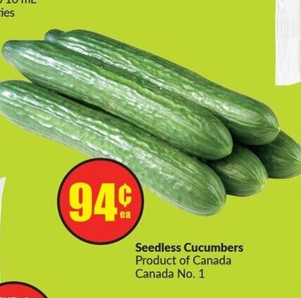 FreshCo Seedless Cucumbers offer