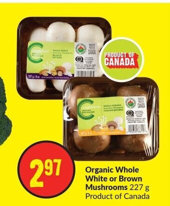 FreshCo Organic Whole White or Brown Mushrooms 227 g offer
