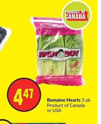 FreshCo Romaine hearts 3pk offer