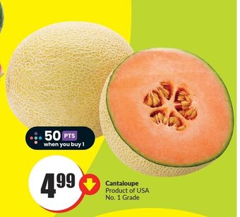 FreshCo Cantaloupe offer