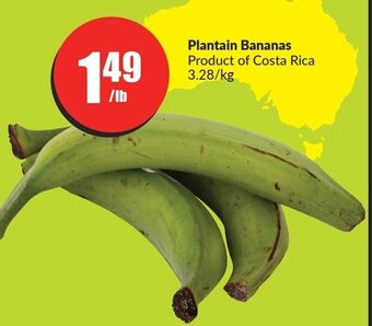 FreshCo Plantain Bananas offer