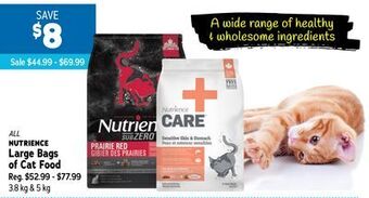 Ren’s Pets Depot All nutrience large bags of cat food offer