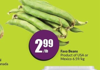 FreshCo Fava Beans offer