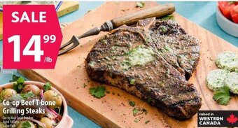Co-op Co-op Beef T-bone Grilling Steaks offer