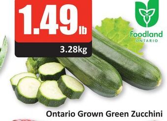 Starsky Ontario grown green zucchini offer