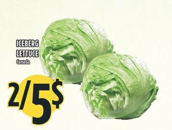 Marché Adonis Iceberg lettuce offer