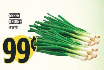 Marché Adonis Green onions offer