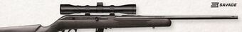 Bass Pro Savage 64 fxp rifle with scope offer