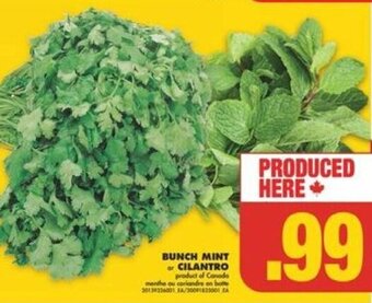 No Frills BUNCH MINT OR CILANTRO offer