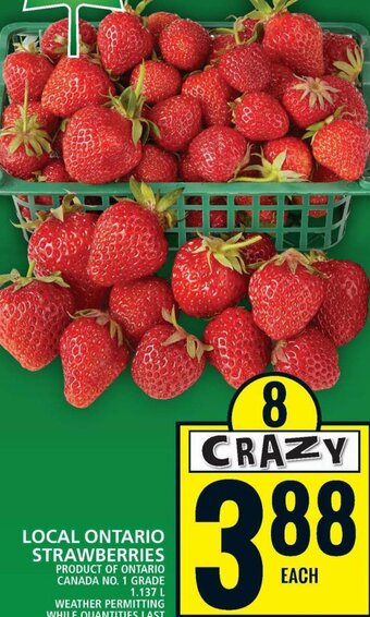 Food Basics STRAWBERRIES offer