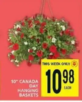 Food Basics 10" CANADA DAY HANGING BASKETS offer