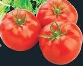No Frills BEEFSTEAK TOMATOES offer