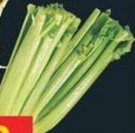 No Frills CELERY offer