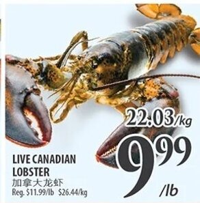 Al Premium Food Mart LIVE CANADIAN LOBSTER offer