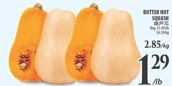 Al Premium Food Mart BUTTER NUT SQUASH offer