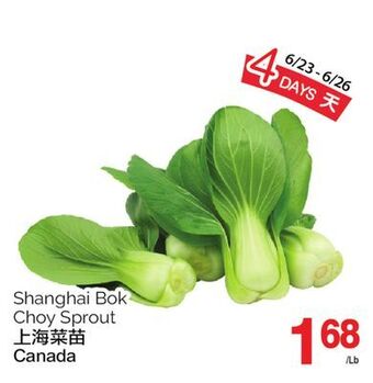 T&T Supermarket Shanghai bok choy sprout offer