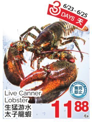 T&T Supermarket Live canner lobster offer