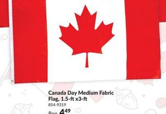 Party City Canada day medium fabric flag, 1.5-ft x3-ft offer
