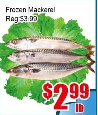 New Pacific Supermarket Frozen Mackerel offer