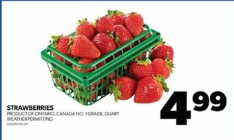 Real Canadian Superstore STRAWBERRIES offer