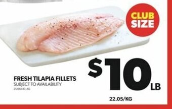 Real Canadian Superstore FRESH TILAPIA FILLETS offer