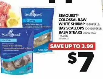 Real Canadian Superstore SEAQUEST COLOSSAL RAW WHITE SHRIMP offer
