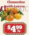 Nations Fresh Foods Clementine with Leaves offer