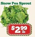 Nations Fresh Foods Snow Pea Sprout offer