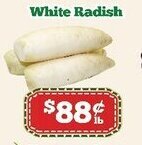 Nations Fresh Foods White Radish offer