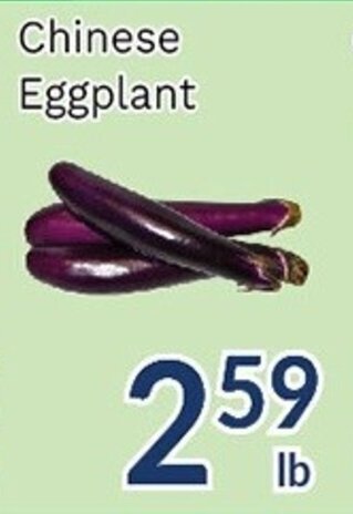 Oceans Fresh Food Market Chinese Eggplant offer