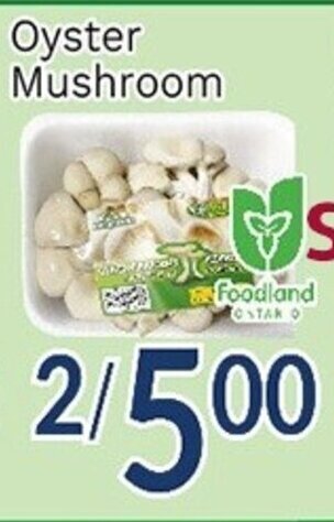 Oceans Fresh Food Market Oyster Mushroom offer