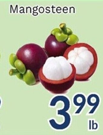 Oceans Fresh Food Market Mangosteen offer