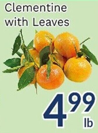 Oceans Fresh Food Market Clementine with Leaves offer