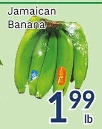 Oceans Fresh Food Market Jamaican Banana offer