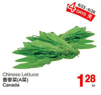 T&T Supermarket Chinese Lettuce offer