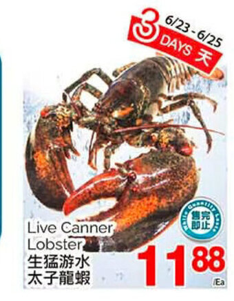 T&T Supermarket Live Canner Lobster offer