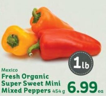 Market Place IGA Fresh Organic Super Sweet Mini Mixed Peppers 454 g offer