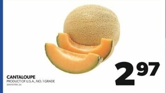 Real Canadian Superstore CANTALOUPE offer