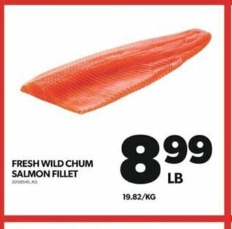 Real Canadian Superstore FRESH WILD CHUM SALMON FILLET offer