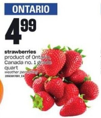 Loblaws strawberries offer