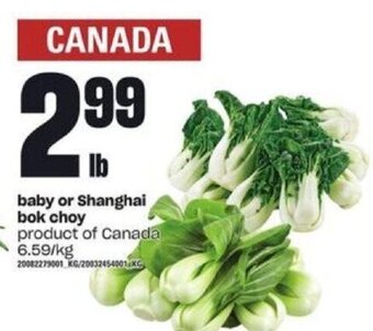 Loblaws baby or Shanghai bok choy offer
