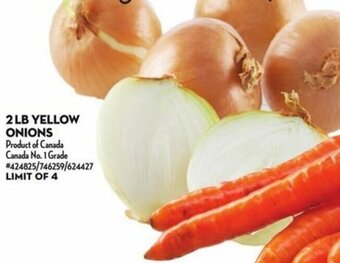 Giant Tiger 2 LB YELLOW ONIONS offer
