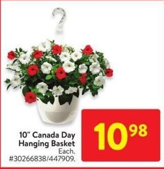 Walmart 10" Canada Day Hanging Basket offer