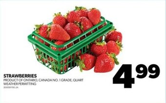 Real Canadian Superstore STRAWBERRIES offer