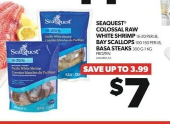 Real Canadian Superstore SEAQUEST COLOSSAL RAW WHITE SHRIMP, BAY SCALLOPS , BASA STEAKS offer