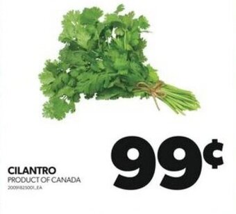 Real Canadian Superstore CILANTRO offer