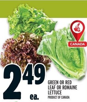 Metro GREEN OR RED LEAF OR ROMAINE LETTUCE offer